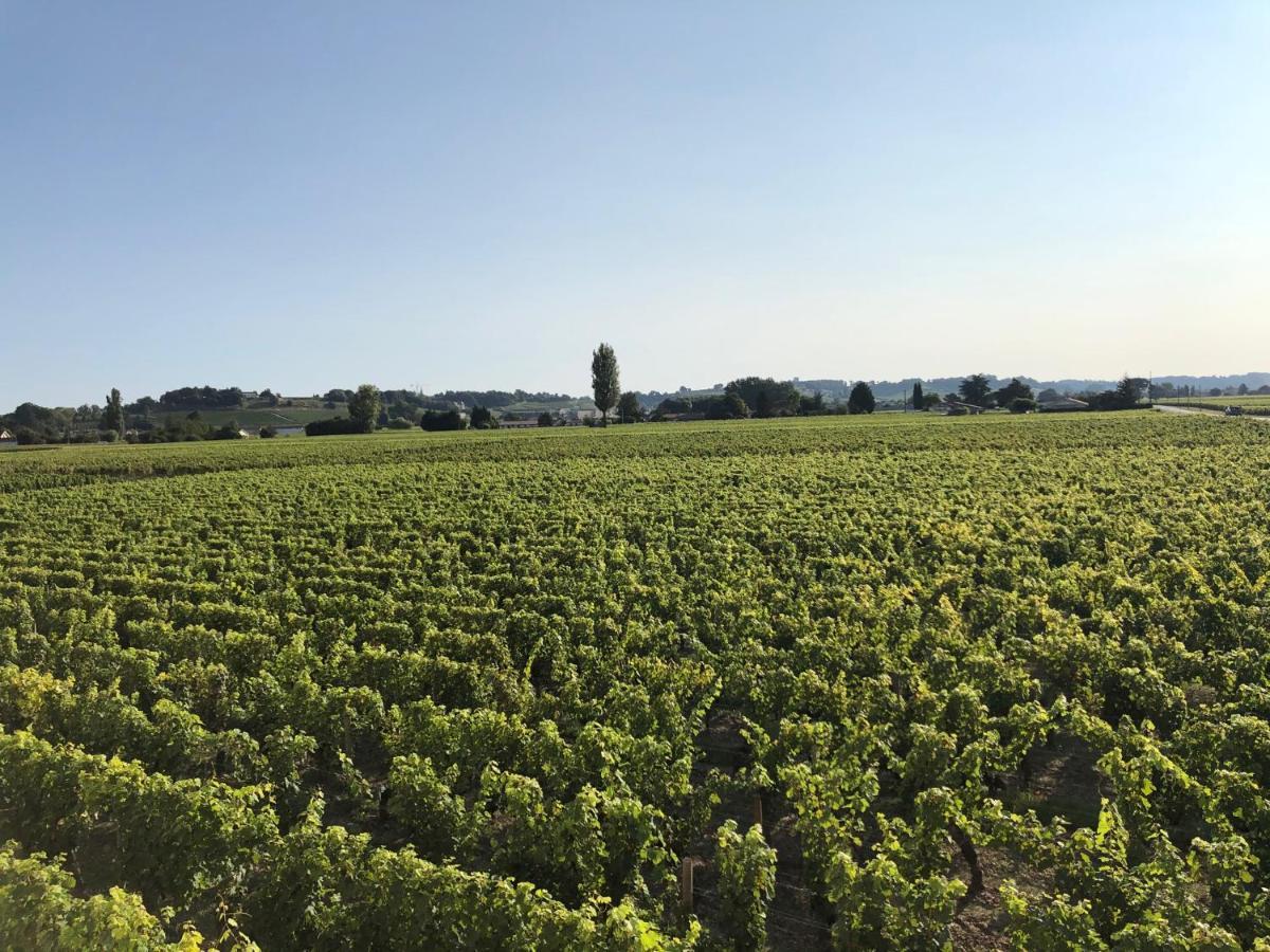 Clos De Bertinat Saint-Sulpice-de-Faleyrens Dış mekan fotoğraf